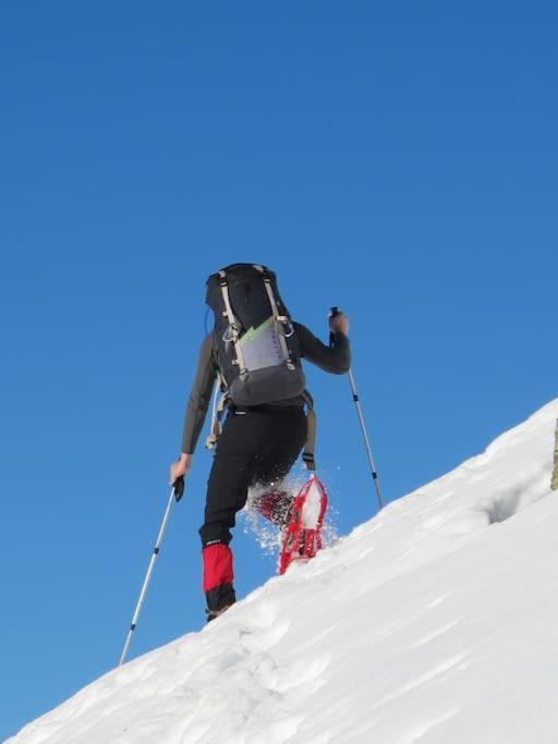 "Le Desman" Confortable T2 A La Montagne Face Aux Thermes Rando, Cure أولوس ليه بان المظهر الخارجي الصورة