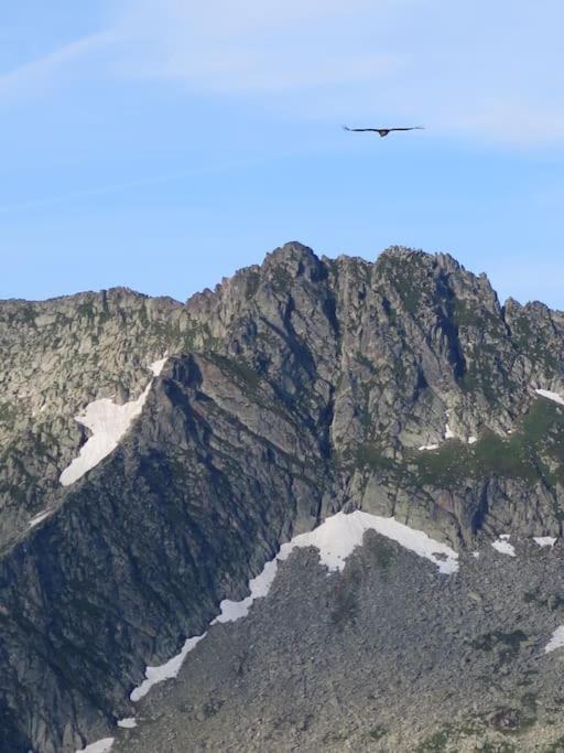 "Le Desman" Confortable T2 A La Montagne Face Aux Thermes Rando, Cure أولوس ليه بان المظهر الخارجي الصورة