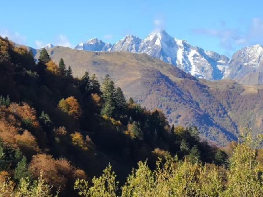 "Le Desman" Confortable T2 A La Montagne Face Aux Thermes Rando, Cure أولوس ليه بان المظهر الخارجي الصورة